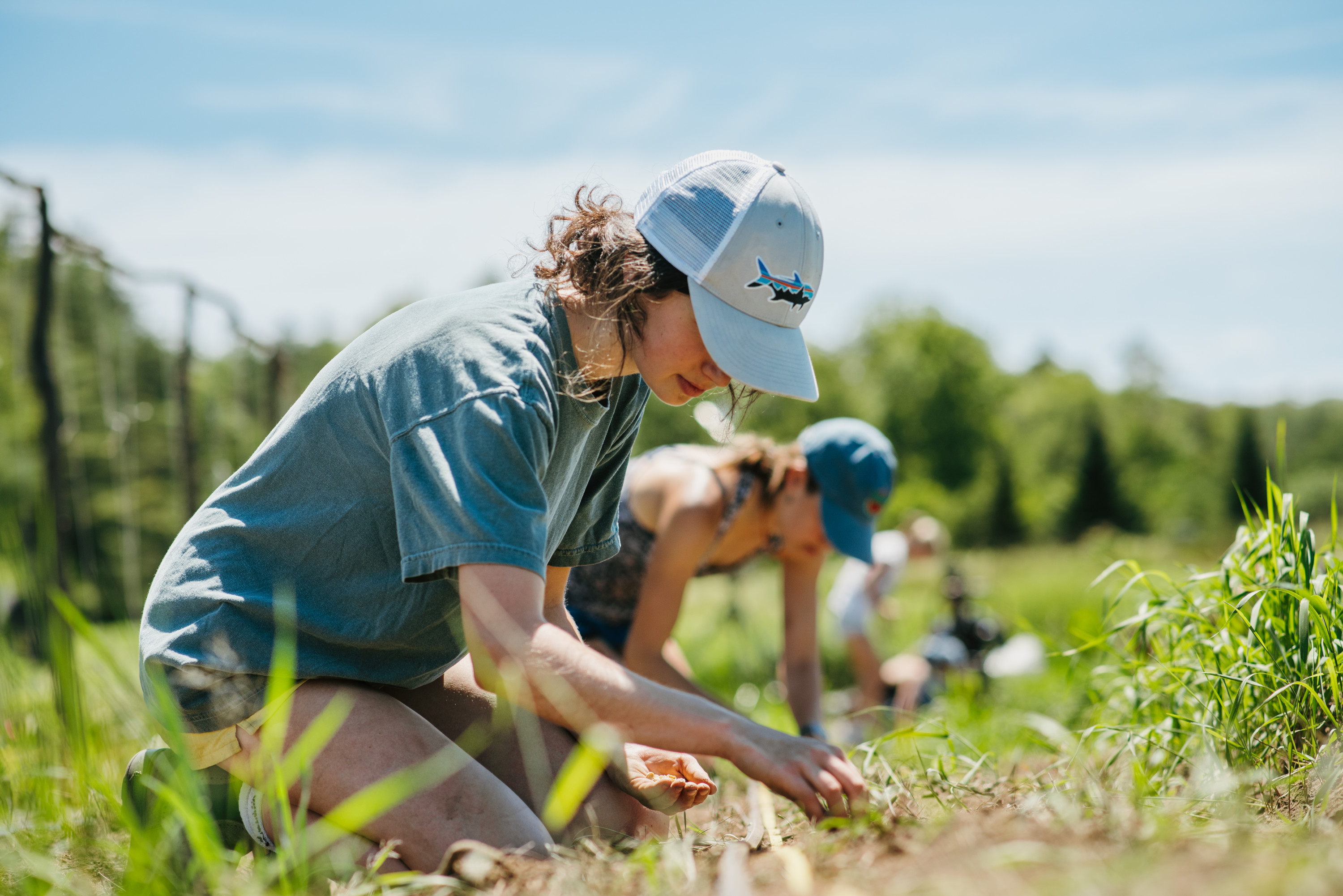 Students work in the fields at the Organic Farm