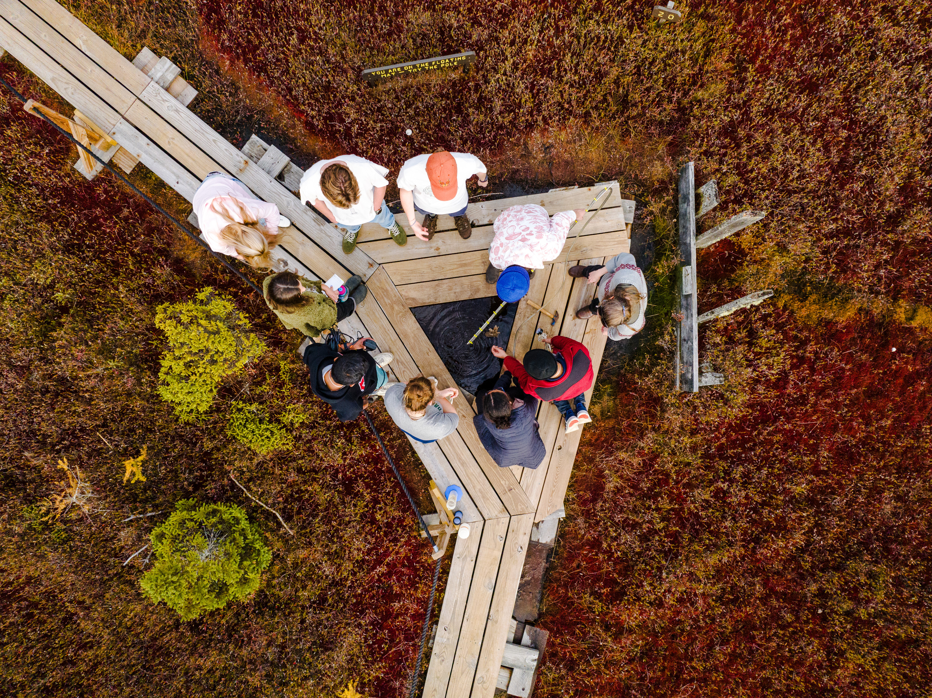 Students do research in a bog