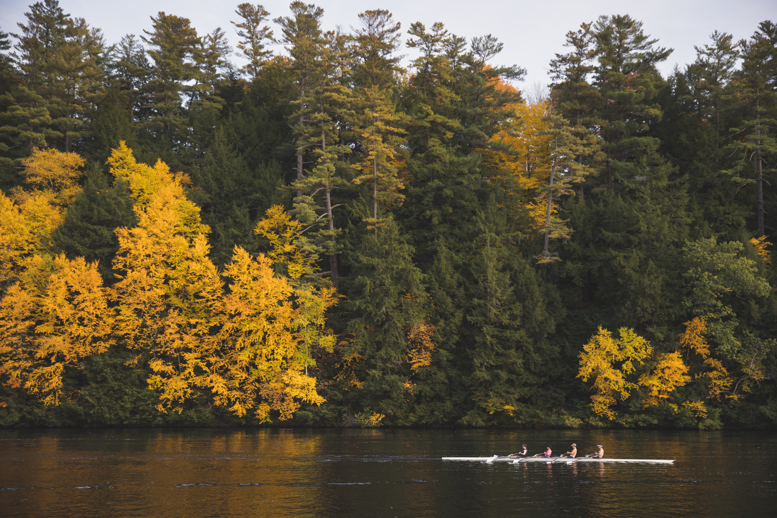 Rowers on the Connecticut River