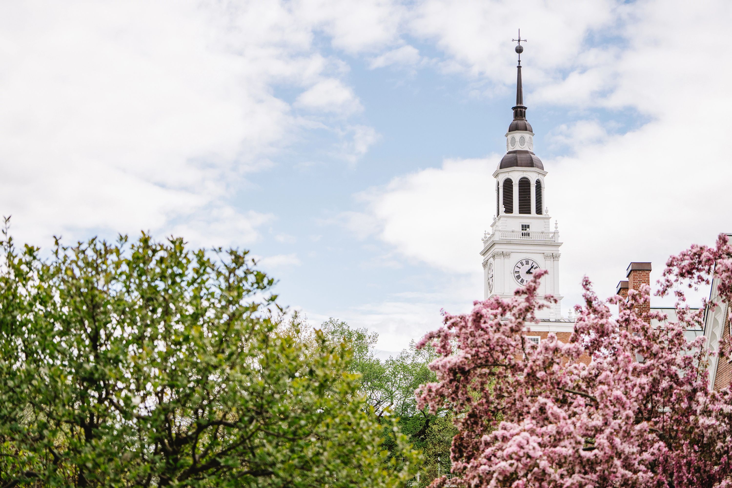 Baker tower in the spring